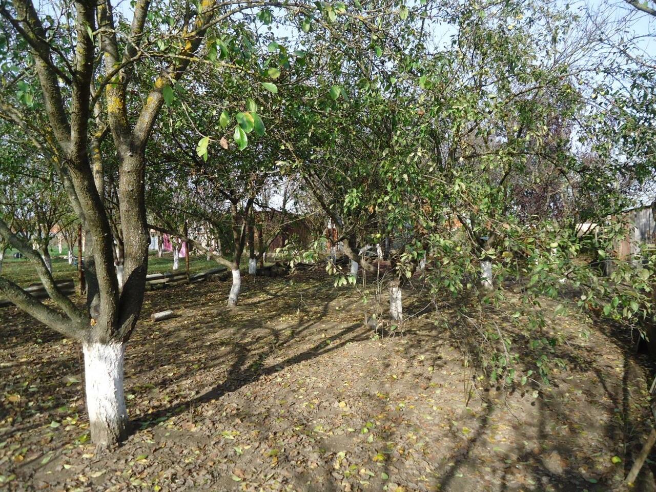 Участок на продажу в Ильском, Волгоградская улица фото №2