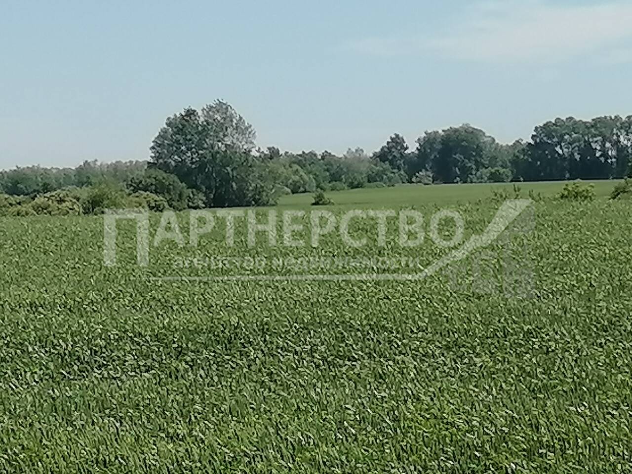 Участок на продажу в Ильском, Московская улица фото №8