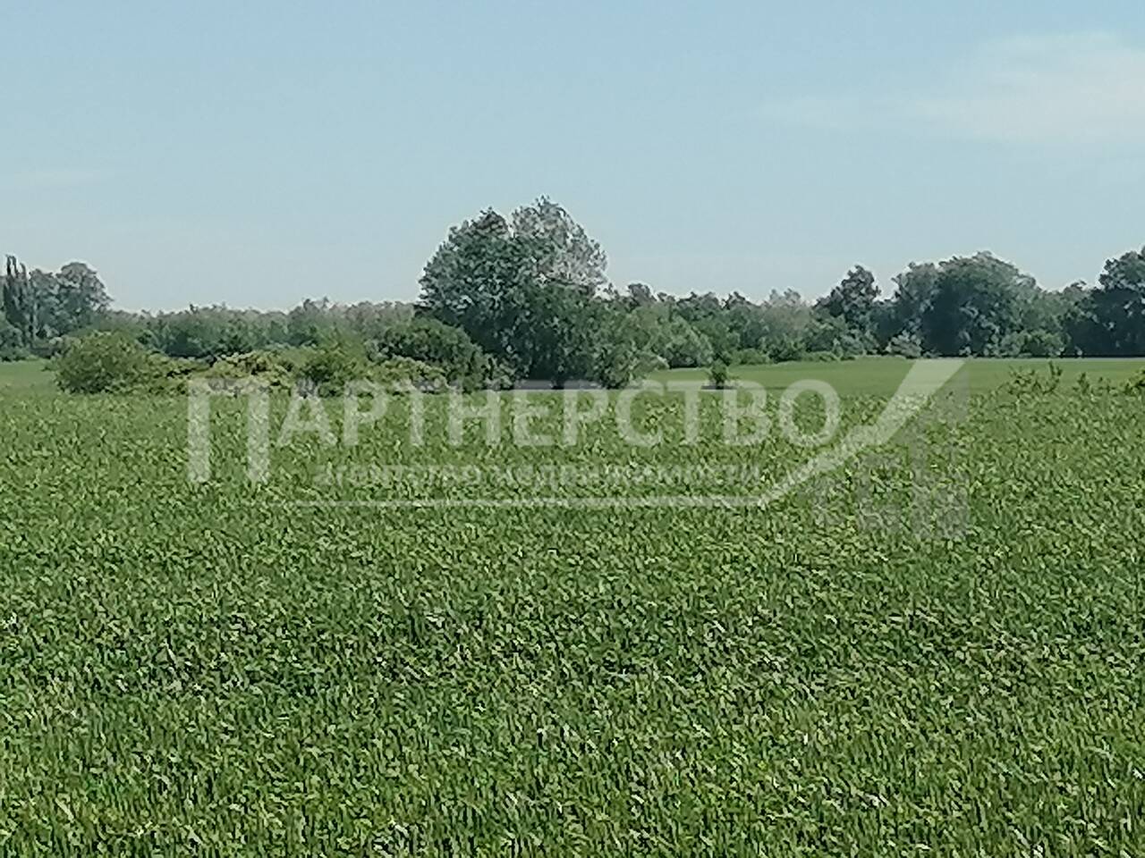 Участок на продажу в Ильском, Московская улица фото №10