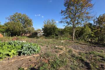 Ведение садоводства, 6,2 сот.