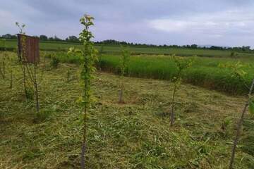 Ведение садоводства, 800 сот.